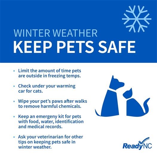 Winter Weather and Keeping Pets Safe Graphic