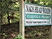 Nags Head Woods Preserve Sign with a deer in the background