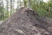 Image of a large pile of mulch