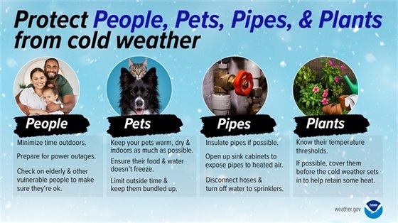 Advice on protecting people, pets, pipes, and plants during extreme cold