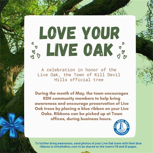 Love Your Live Oak