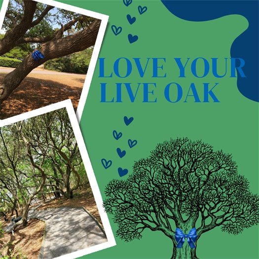 Love your Live Oak Month