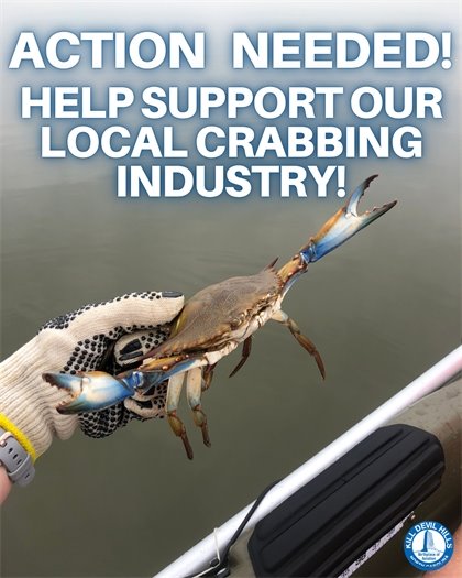 An image of a hand holding a blue crab. Text reads: Action Needed: Help Support Our Local Crabbing Industry