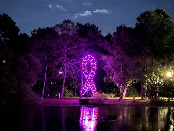 Breast Cancer Awareness Month Recognized in KDH During your recent visit to Aviation Park you may have noticed a 23-foot tall pink ribbon on display. This ribbon was constructed and put on display in honor of Breast Cancer Awareness Month and to raise awareness among the community about the preventive measures that can be taken to avoid breast cancer. It is also aimed at honoring the memories of those who have lost their lives to this disease and to encourage those who are currently courageously fighting it.