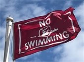 Respect the flags, if red flags are flying you should not be swimming! Don't risk your life or someone else's. Stay safe, stay out of the ocean! 