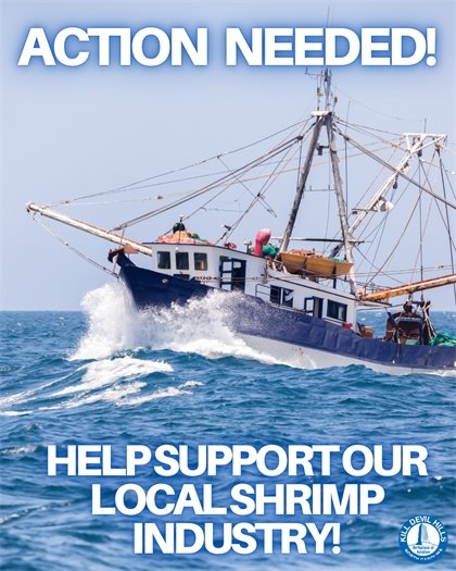 A photo on a vessel trawling for shrimp with the text that reads: Action Needed! Help support our local shrimp industry