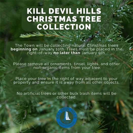 Place your natural Christmas trees curbside for collection no later than 1/9. Before placing them, please double-check that all ornaments and decorations have been removed.