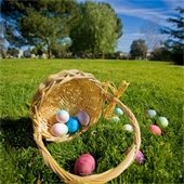 Don’t risk dropping the golden egg out of your basket this Easter – avoid slips, trips, and falls by taking a few precautions as outlined in the Town’s Falls Prevention Video which can be found on the KDH YouTube channel.