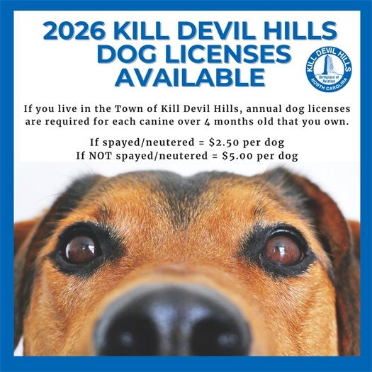 2026 Dog Licenses Available