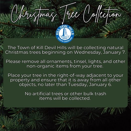 The Town of Kill Devil Hills will be collecting natural Christmas trees beginning on Wednesday, January 7.   Please remove all ornaments, tinsel, lights, and other non-organic items from your tree.   Place your tree in the right-of-way adjacent to your property and ensure that it is away from all other objects, no later than Tuesday, January 6.   No artificial trees or other bulk trash items will be collected. 