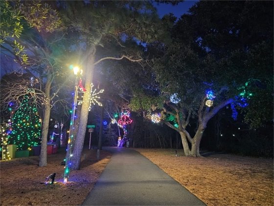An image of the path at Aviation Park's Frog Pond that shows a display of holiday lights