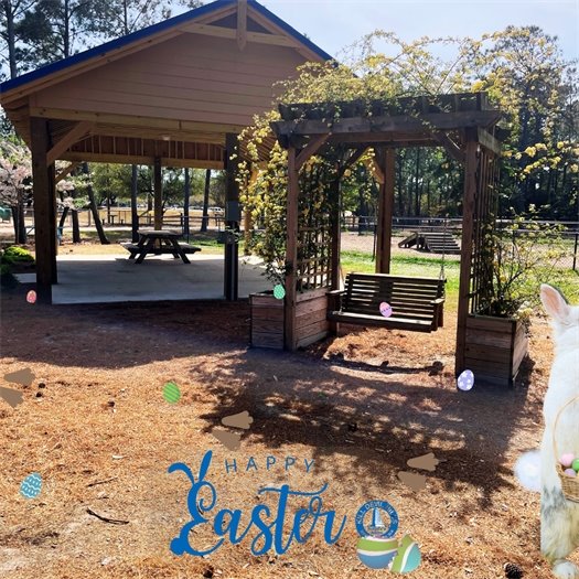 The Town of Kill Devil Hills wishes you a happy and safe easter.