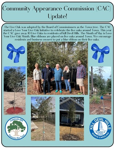 Community Appearance Commission Update May 2024 focusing on the live oak projects