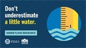 Renew Flood Insurance