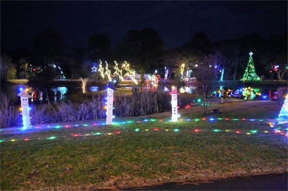 Image of holiday lights at Aviation Park