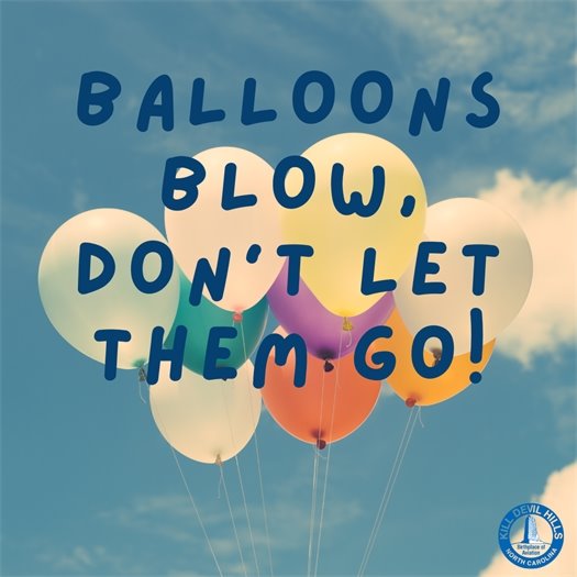 Balloons blow, don't let them go! Balloons may soar, but their impact on our environment weighs heavy. Released balloons become hazardous litter, endangering wildlife and polluting our precious ecosystems.  You can help make a meaningful difference by choosing sustainable alternatives to balloons. Creative and eco-friendly alternatives to balloon releases that can still make your celebrations special. Whether it's blowing bubbles, planting trees, or enjoying biodegradable confetti, let's celebrate responsibly and ensure our festivities leave a positive, lasting impact. 