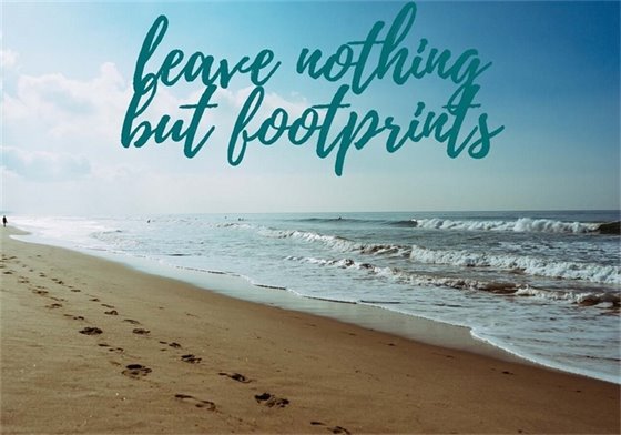 Leave Nothing but Footprints. . .  We have the opportunity to enjoy a beautiful and clean beach. Please remove all trash and personal items from the beach each day. In Kill Devil Hills, leaving items on the beach overnight is prohibited.  Trash and other items left on the beach can be harmful to people, including emergency responders, and wildlife, like hatchling sea turtles that must make their way to the water to survive.  And, don’t forget to fill in all sand holes, which also create extreme hazards for others when left unattended.  We want all people and wildlife to be able to continue enjoying a safe and litter-free beach.
