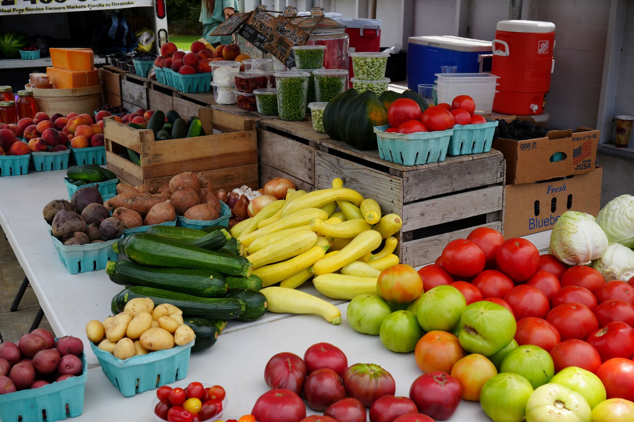 358702475_701597501994510_327081975827289685_n